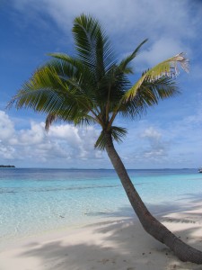 Vacation Homes