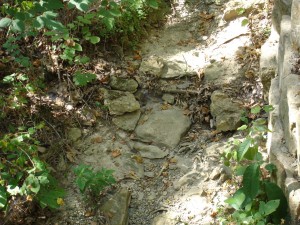 Dry Stream dried mud streambed