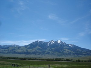 purple mountains